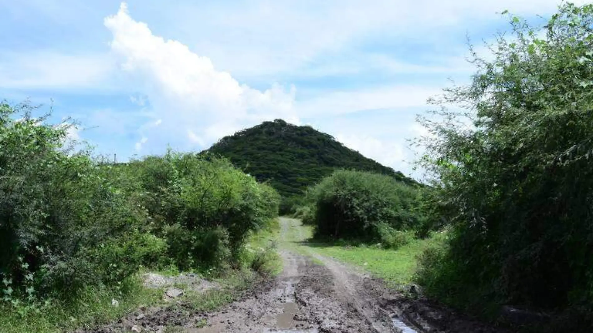 peña colorada